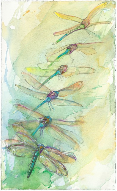 DRAGONFLIES by MacNamara