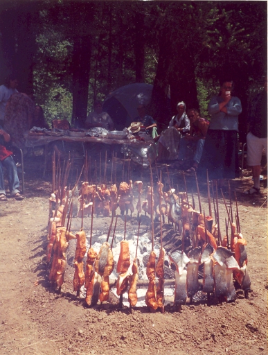 Salmon skewers around the fire pit